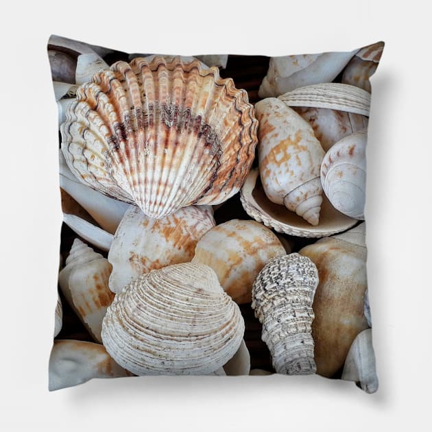 Summer Seashells Pillow by NewburyBoutique