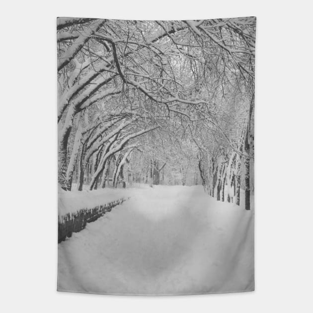 Winter alley Tapestry by EvgeniiV