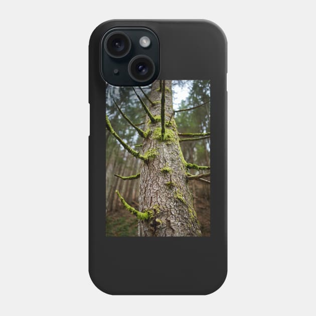 Pine tree with mossy branches Phone Case by naturalis