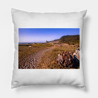 Dry Lagoon State Park Pillow