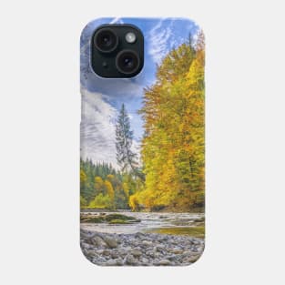 SCENERY 82 - Autumn Trees Clear Stream Water River Phone Case