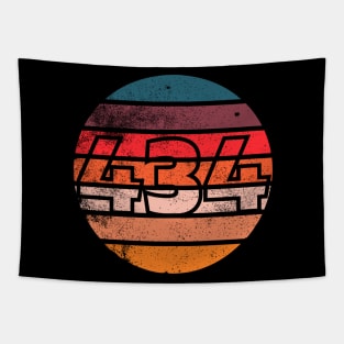 Vintage Sunset 434 Area Code T-Shirt Tapestry