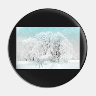 Winter Wonderland Pin