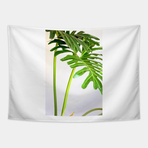 Soft Green Foliage on White Background Tapestry by lexlagmay