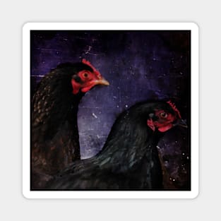 Dark portrait of two chickens Magnet