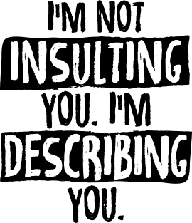 Im Not Insulting You Im Describing You Magnet