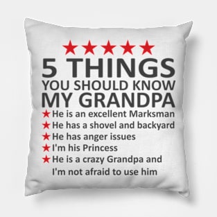 5 things you should know about my grandpa Pillow