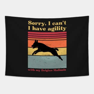 sorry i can't, i have agility with my malinois Tapestry