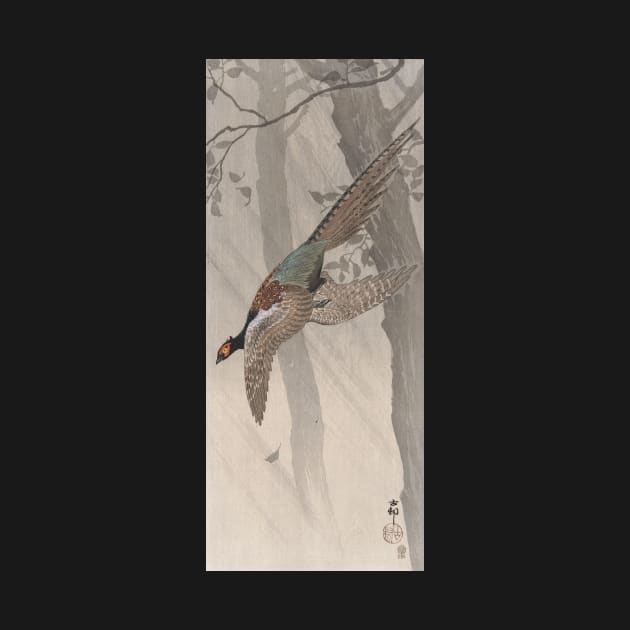 Green pheasant by Ohara Koson by topower