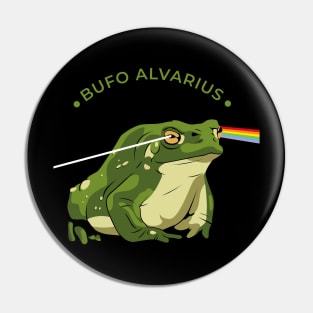 Bufo Alvarius Pin