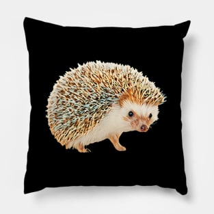 Hedgehog - Woodland Themed Kids Room, Funny Gifts For Forester, Cute Anima Pillow