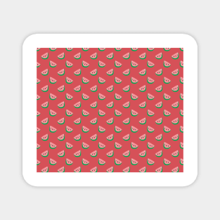 Pink Watermelon Slice Pattern Magnet