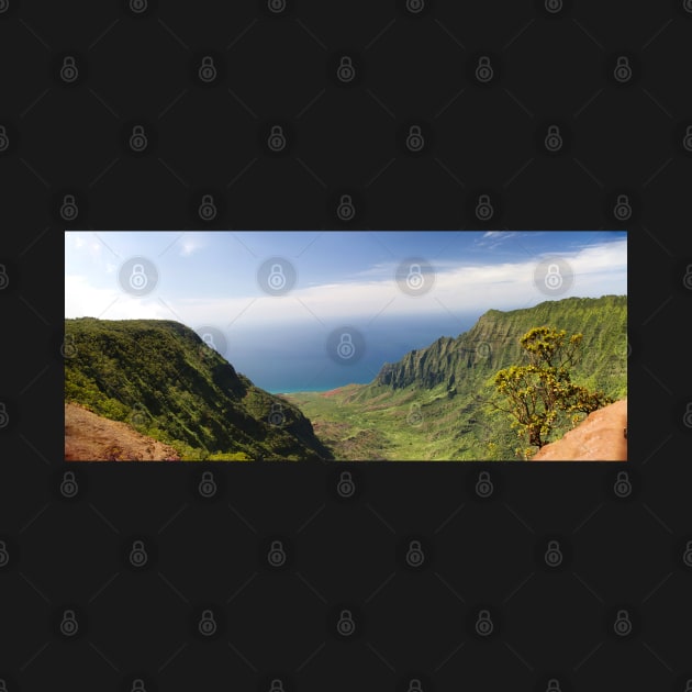 Kauai NaPali Overlook_WGC by wgcosby