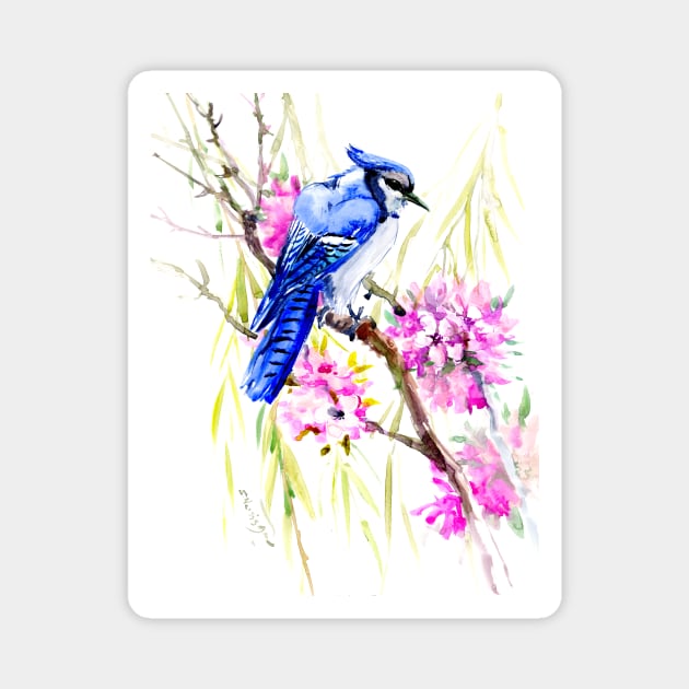 Blue Jay and Cherry Blossom Magnet by surenart