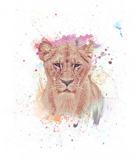 African Lioness Digital Painting Magnet