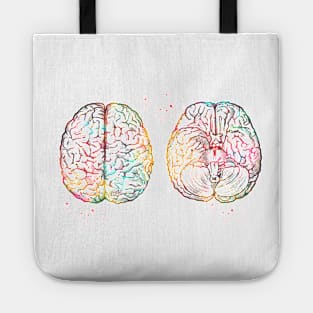 Human brain scheme Tote