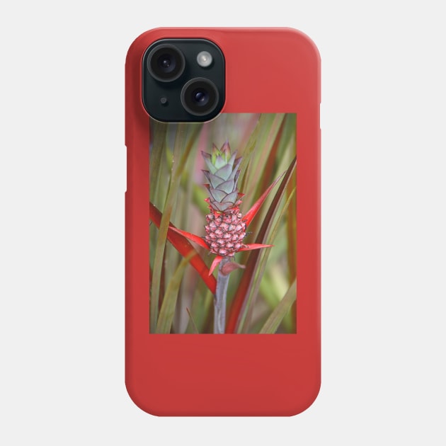 Bromeliad Phone Case by Carole-Anne