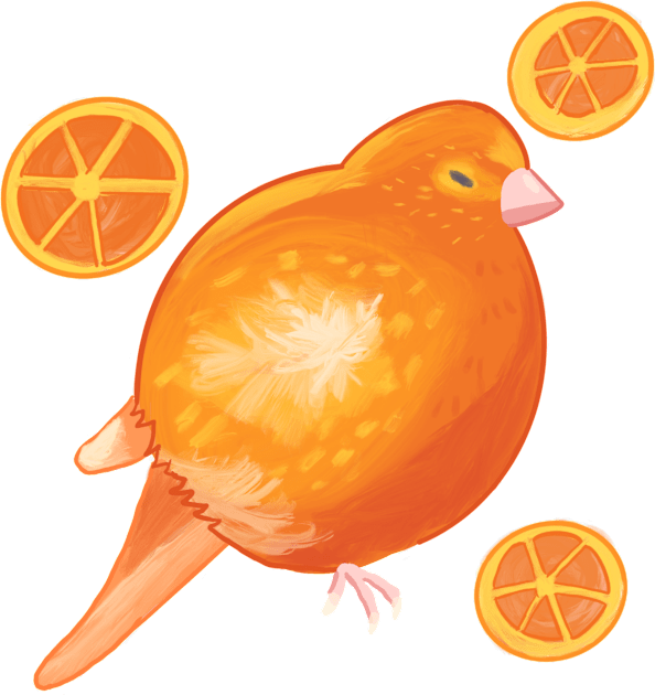 Orange Canary Kids T-Shirt by JessaCreation