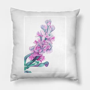 Matthiola Incana (Stock) pink flower painting Pillow