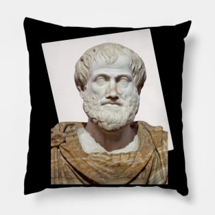 Aristotle Portrait With Rectangle Pillow