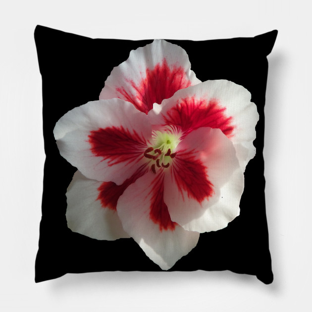 white flower pillow