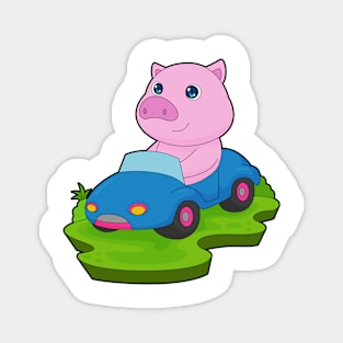 Pig Car Magnet