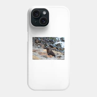 New Zealand Fur Seal, New Zealand Phone Case