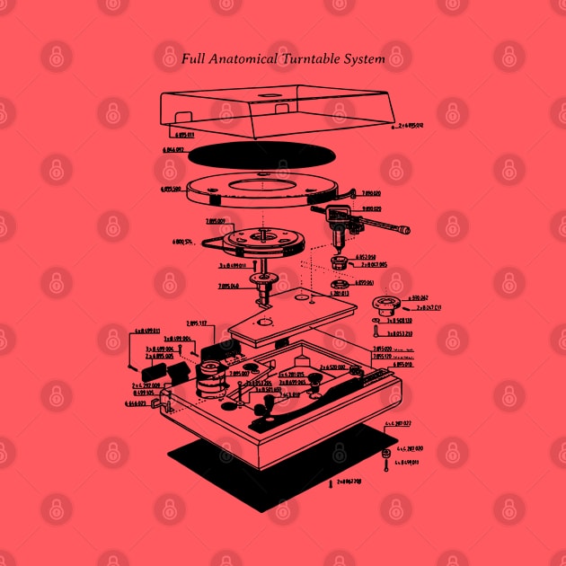 Turntable Anatomy by Pop Fan Shop