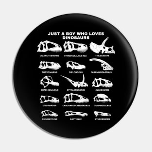 Types of Dinosaurs Just a boy who loves dinosaurs Pin