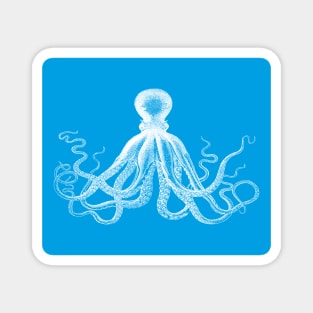 Octopus | Vintage Octopus | Tentacles | Sea Creatures | Nautical | Ocean | Sea | Beach | Turquoise Blue and White | Magnet