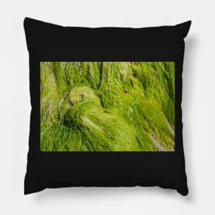 Seagrass Pillow