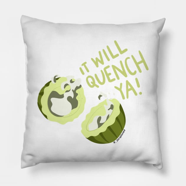 Drink Cactus Juice Avatar the Last Airbender Quote Pillow by jacqstoned