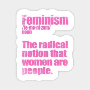 Definition of Feminism Magnet