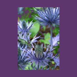 Bees Gather on the Thistle T-Shirt