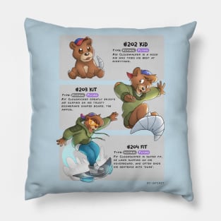 Kit Evolutions Pillow