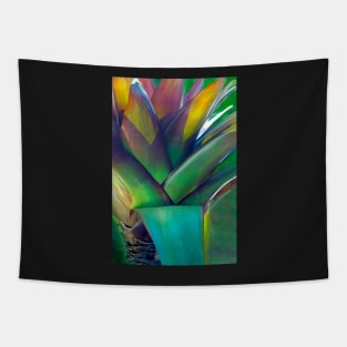 Theme Tropicale Tapestry