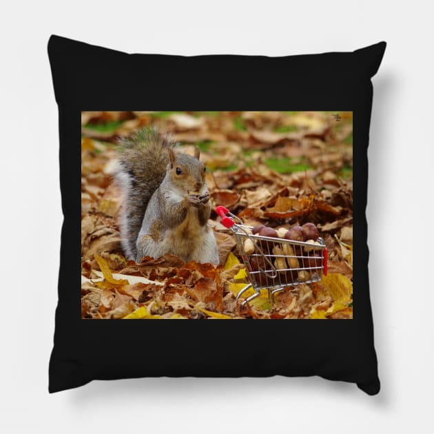 squirrel with shopping cart Pillow by Simon-dell