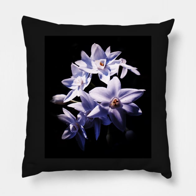 White Jonquils Pillow by DeborahMcGrath