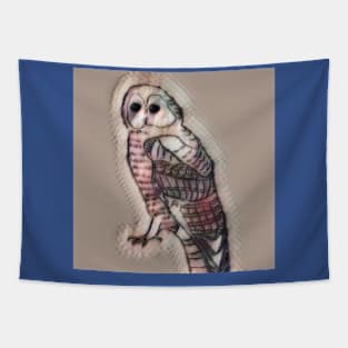 Barn Owl Tapestry