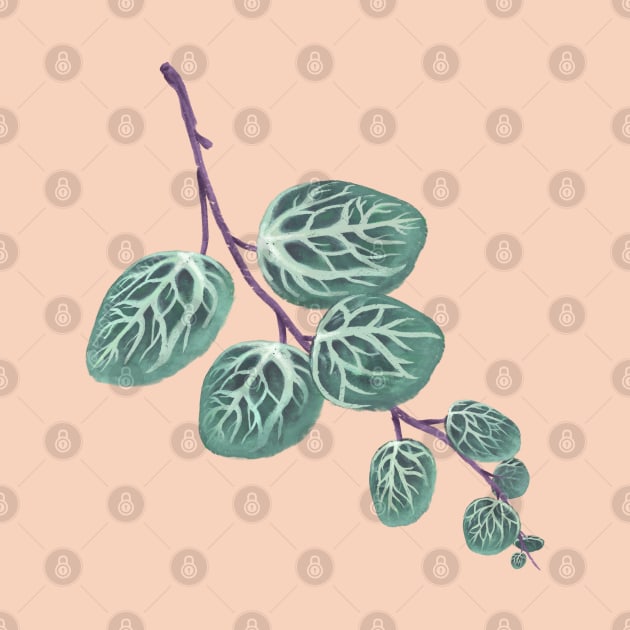 Peperomia Prostrata Leaf by Khotekmei