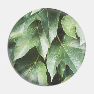 Green Leaves Pin