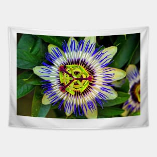 Passion Flower Summer Flowering Plant Tapestry