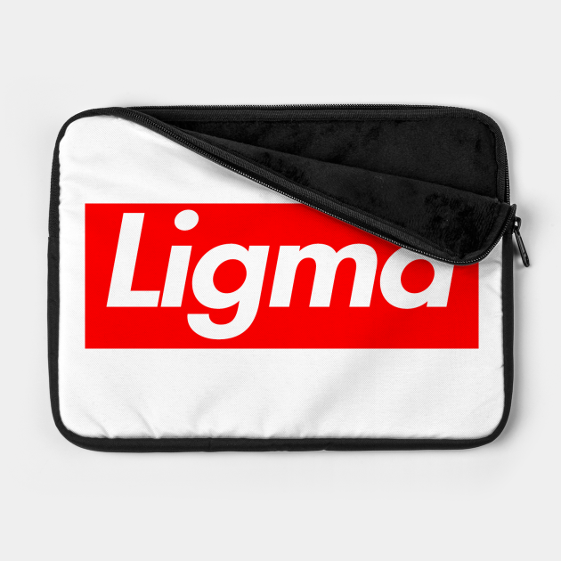 supreme laptop case