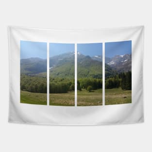 A static shot from the surroundings of Castaldia di Piancavallo with alps in background and a little mist. Beautiful nature in a spring sunny day; no people around Tapestry