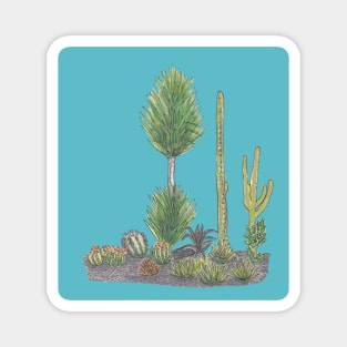 Cactus Garden Magnet