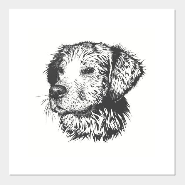 Puppy Pencil Drawing Pencil Art Posters And Art Prints Teepublic
