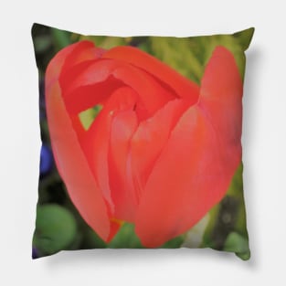 Bright and Blooming Pillow