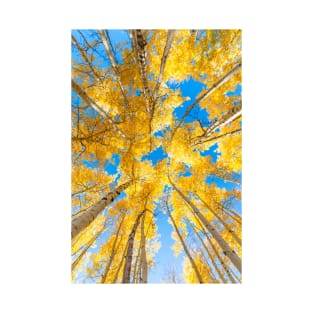 aspen autumn gold T-Shirt