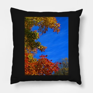 Rainbow Trees Pillow