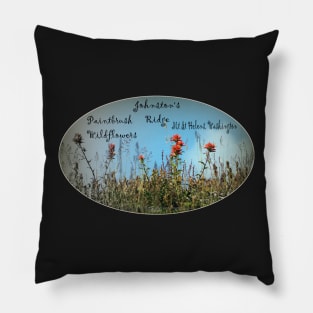 Paintbrush wildflowers, Johnston's Ridge oval Pillow